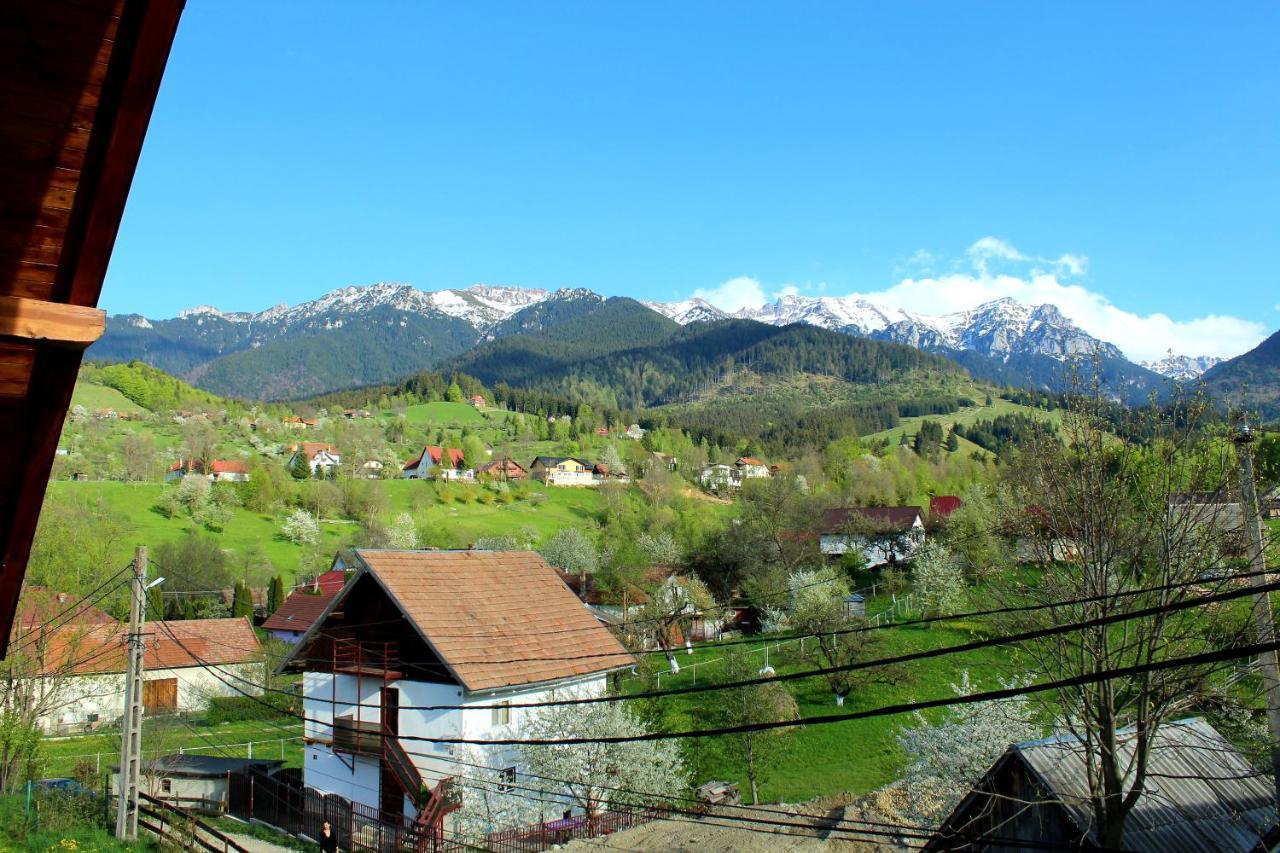 Milea'S Guesthouse Bran (Brasov) Exterior foto