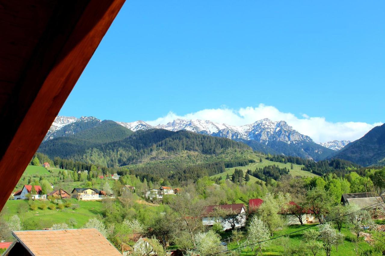 Milea'S Guesthouse Bran (Brasov) Exterior foto