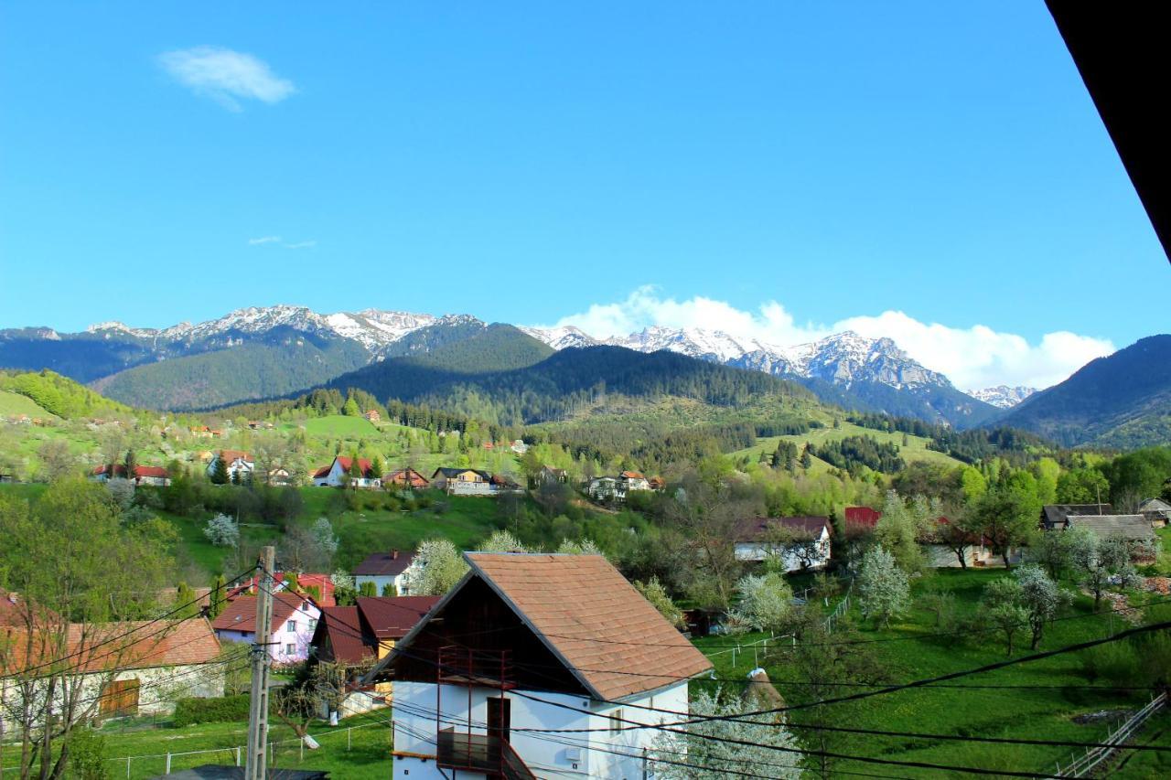 Milea'S Guesthouse Bran (Brasov) Exterior foto