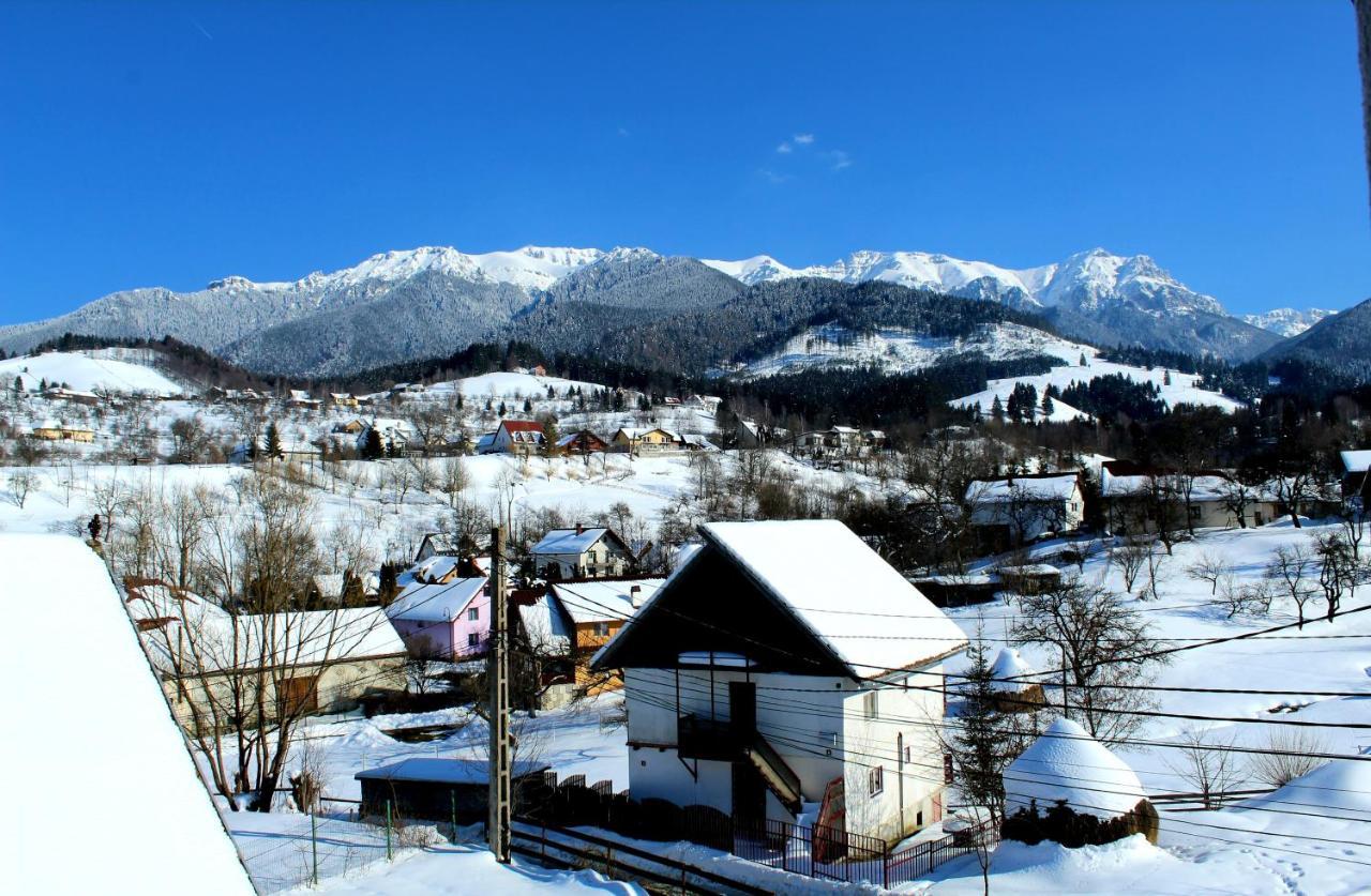 Milea'S Guesthouse Bran (Brasov) Exterior foto