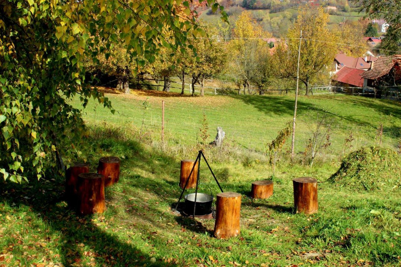 Milea'S Guesthouse Bran (Brasov) Exterior foto